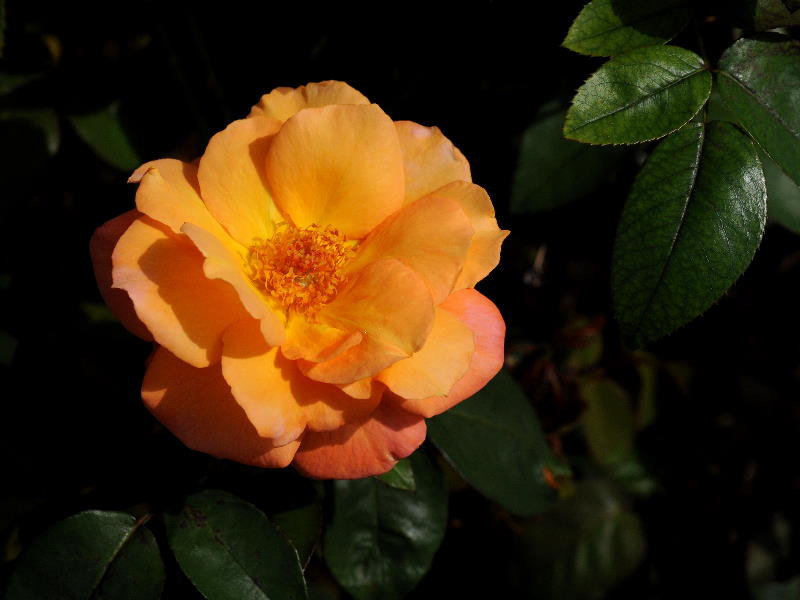 %_tempFileName35-20101011-0138%