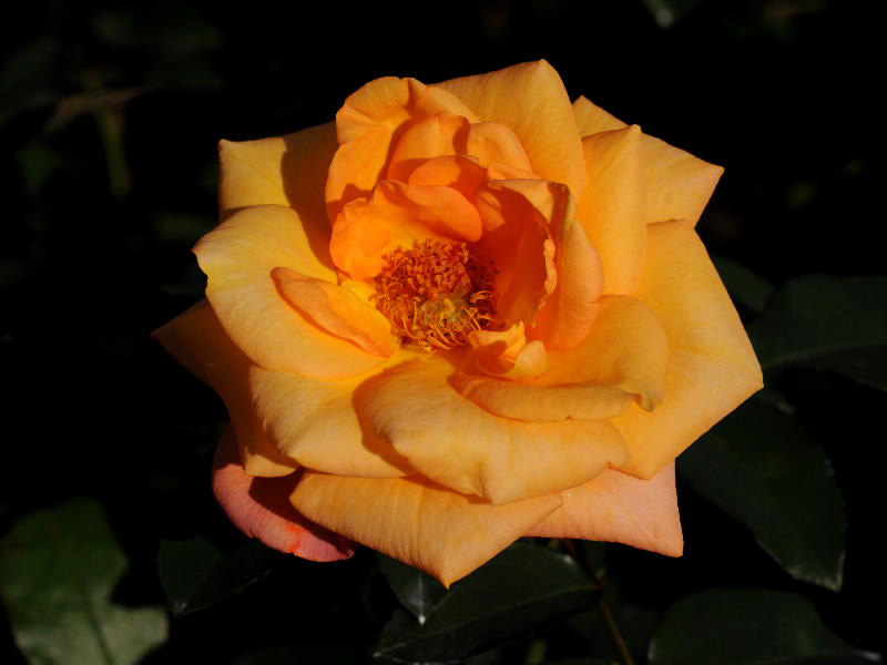 %_tempFileName45-20111016-0155%