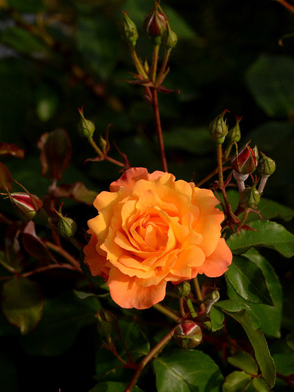 %_tempFileName59-20140514-0399%
