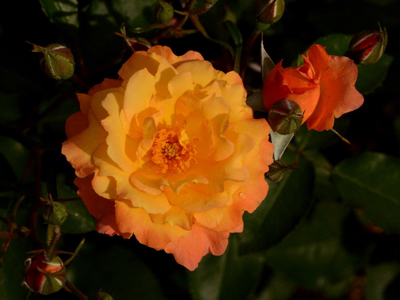 %_tempFileName60-20140514-0402%
