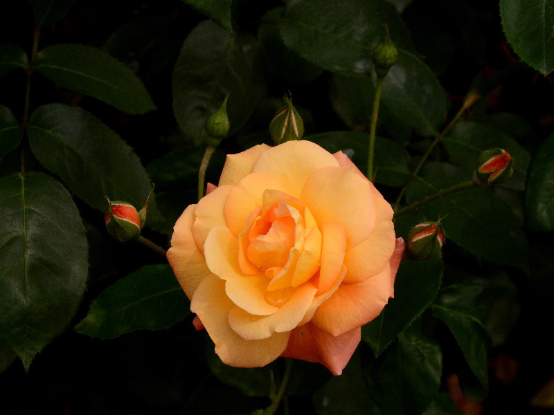 %_tempFileName76-20150516-0458%
