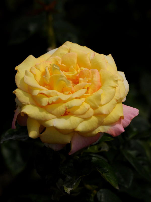 %_tempFileName36-20080614-0034%