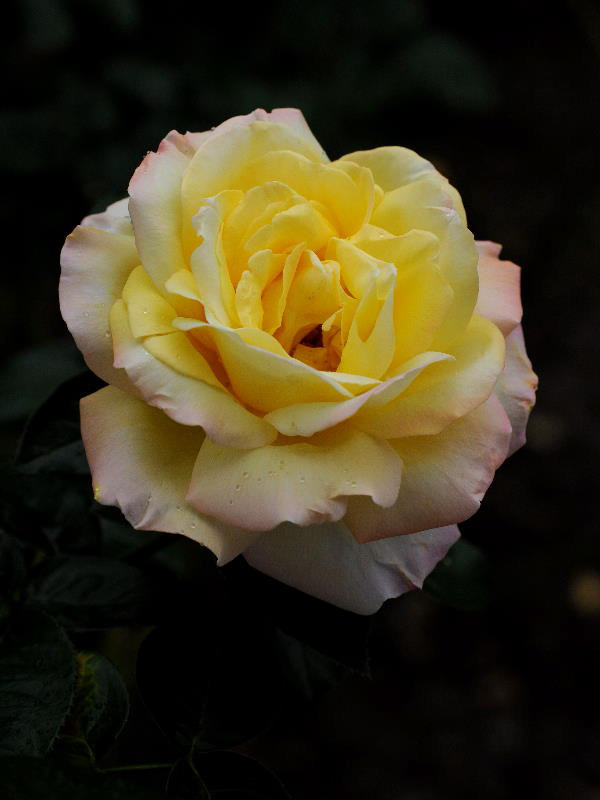%_tempFileName44-20091017-0474%