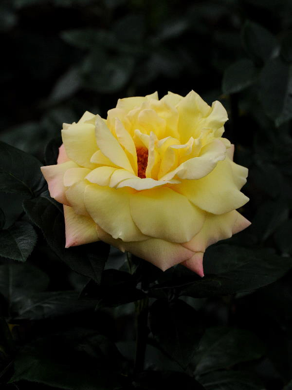 %_tempFileName57-20110605-0167%