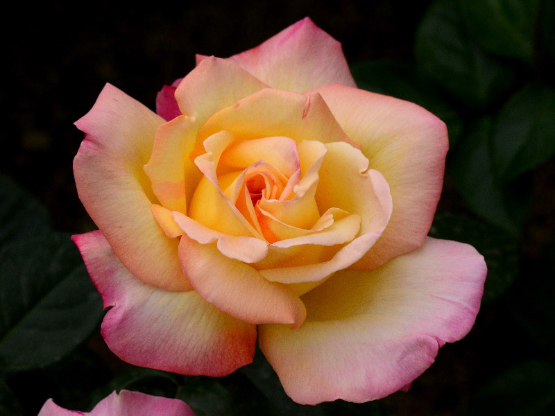 %_tempFileName64-20120512-0636%