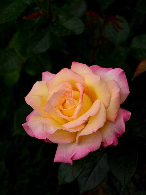 %_tempFileName66-20120512-0639%