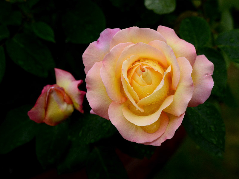 %_tempFileName67-20120609-0514%
