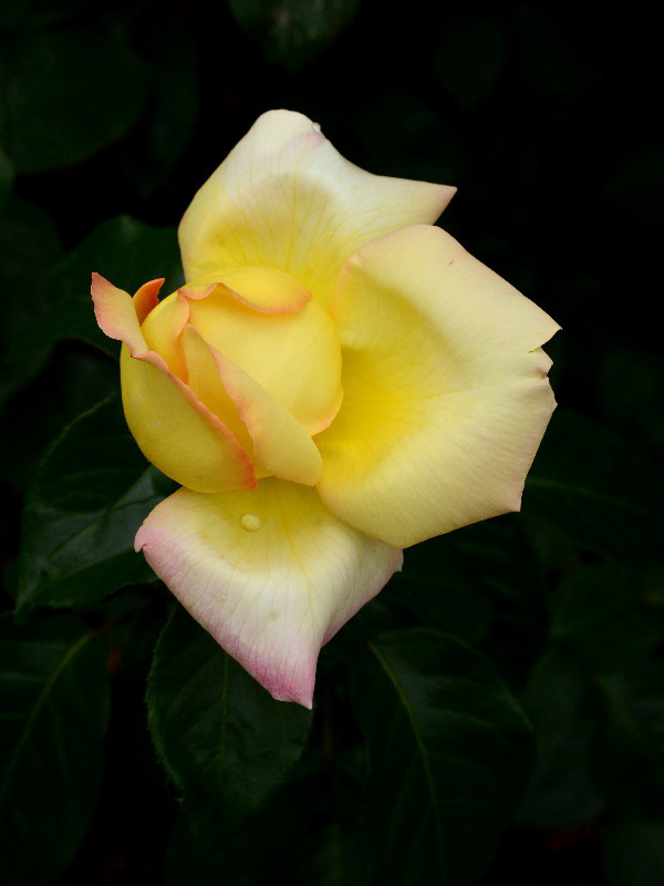 %_tempFileName69-20120610-0461%
