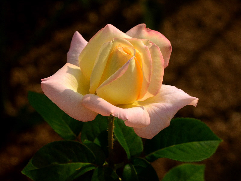 %_tempFileName72-20121012-0218%