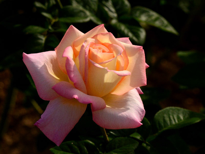%_tempFileName74-20121012-0222%