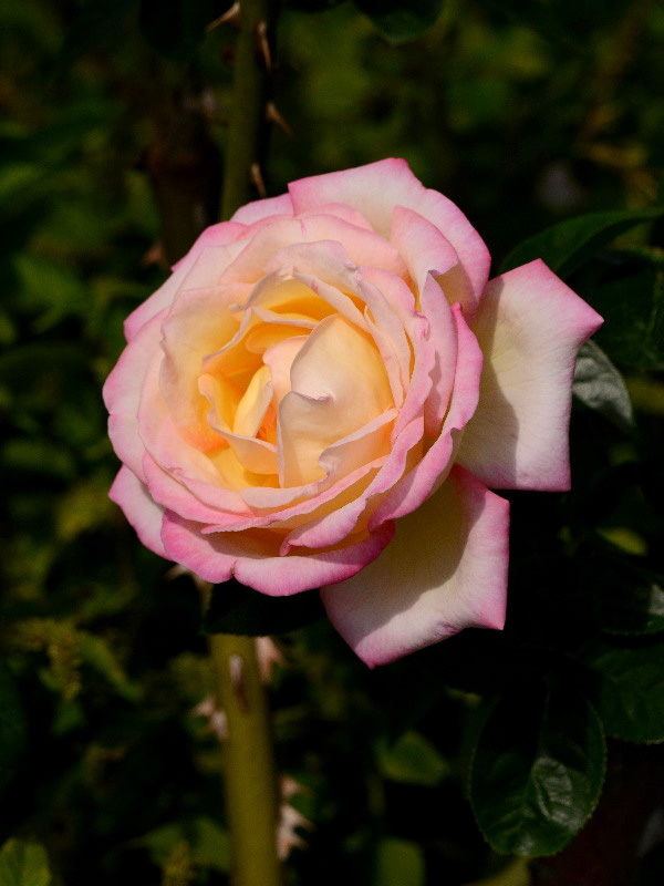 %_tempFileName76-20121014-0342%