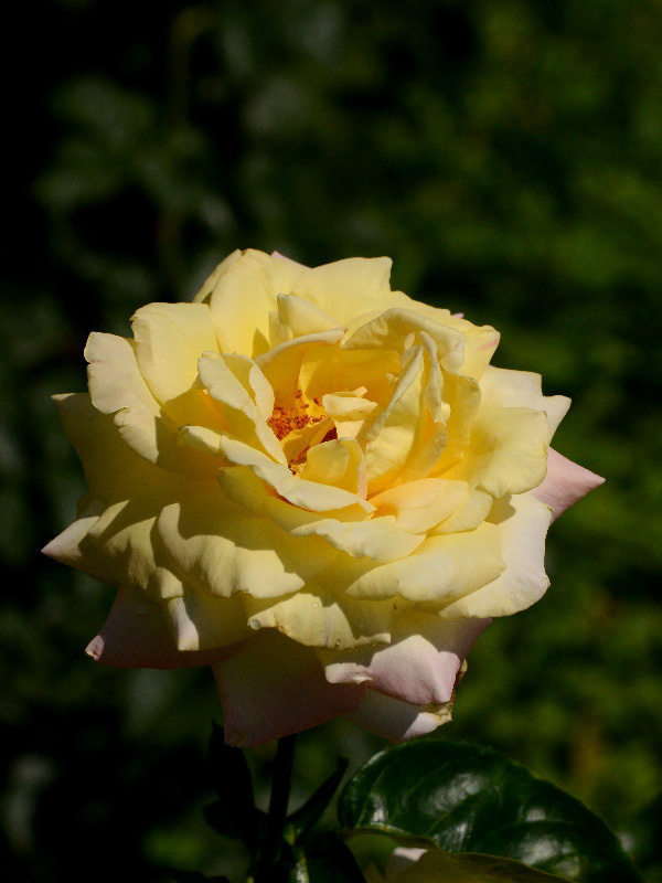 %_tempFileName81-20130616-0200%