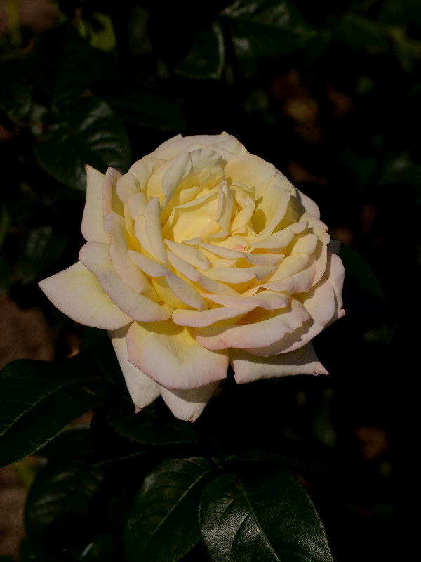 %_tempFileName84-20131026-0455%