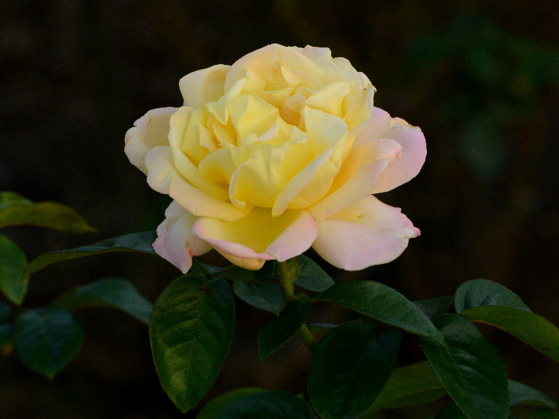 %_tempFileName85-20131029-0412%