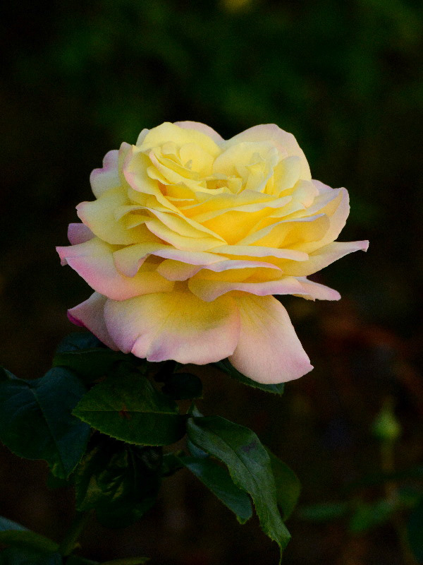 %_tempFileName86-20131029-0413%