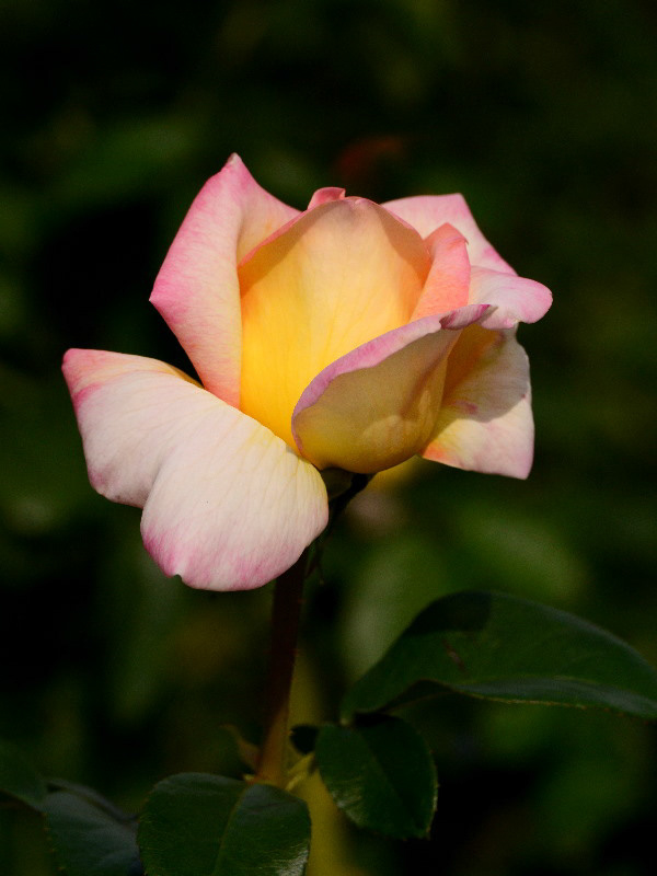 %_tempFileName87-20131031-0228%