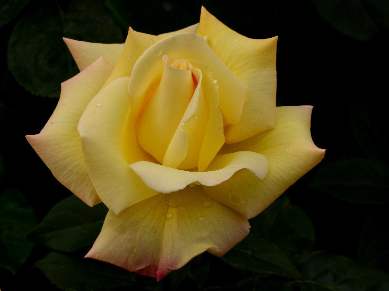 %_tempFileName93-20150516-0652%
