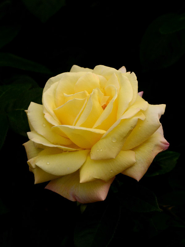 %_tempFileName96-20150516-0658%