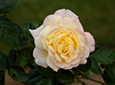 %_tempFileName26-20051022-0449%