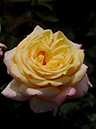 %_tempFileName41-20090614-0244%
