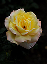 %_tempFileName44-20091017-0474%