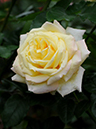 %_tempFileName54-20101024-0815%