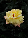 %_tempFileName57-20110605-0167%