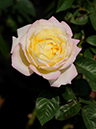 %_tempFileName58-20111008-0212%