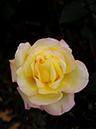 %_tempFileName61-20111109-0679%