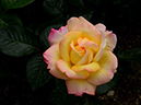 %_tempFileName62-20120512-0633%