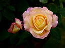 %_tempFileName67-20120609-0514%