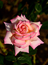 %_tempFileName70-20121012-0211%
