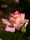 %_tempFileName71-20121012-0213%
