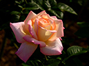 %_tempFileName74-20121012-0222%