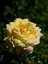 %_tempFileName81-20130616-0200%