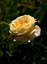 %_tempFileName82-20130616-0203%