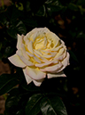 %_tempFileName84-20131026-0455%