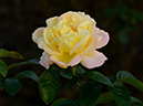 %_tempFileName85-20131029-0412%