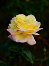 %_tempFileName86-20131029-0413%
