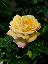 %_tempFileName90-20141026-0423%