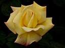 %_tempFileName93-20150516-0652%