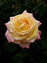 %_tempFileName95-20150516-0656%