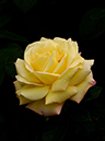 %_tempFileName96-20150516-0658%