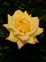 %_tempFileName99-20190510-0142%