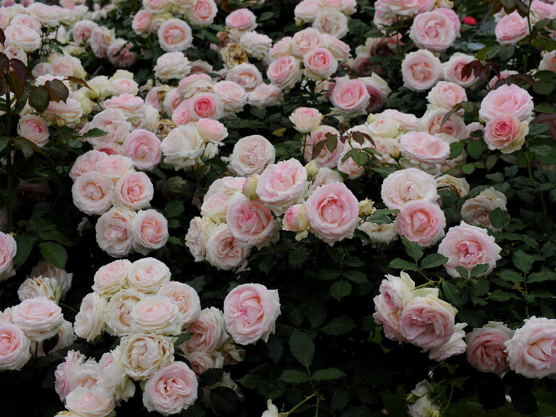 %_tempFileName59-20110618-0283%