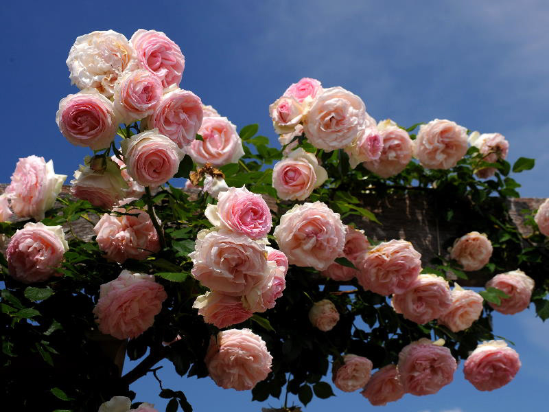 %_tempFileName65-20110619-0169%