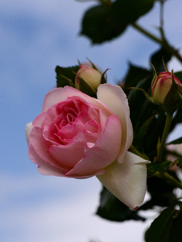 %_tempFileName67-20120512-0453%