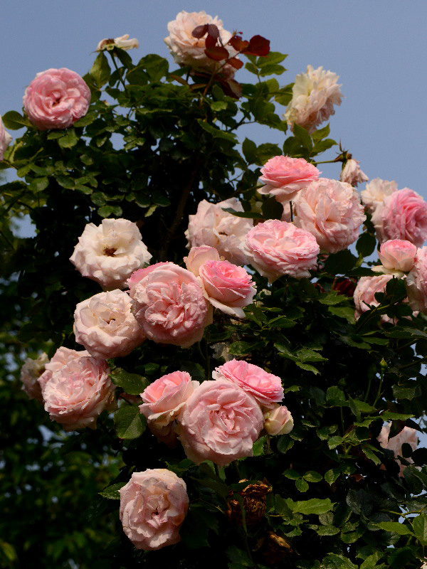 %_tempFileName72-20130526-0358%