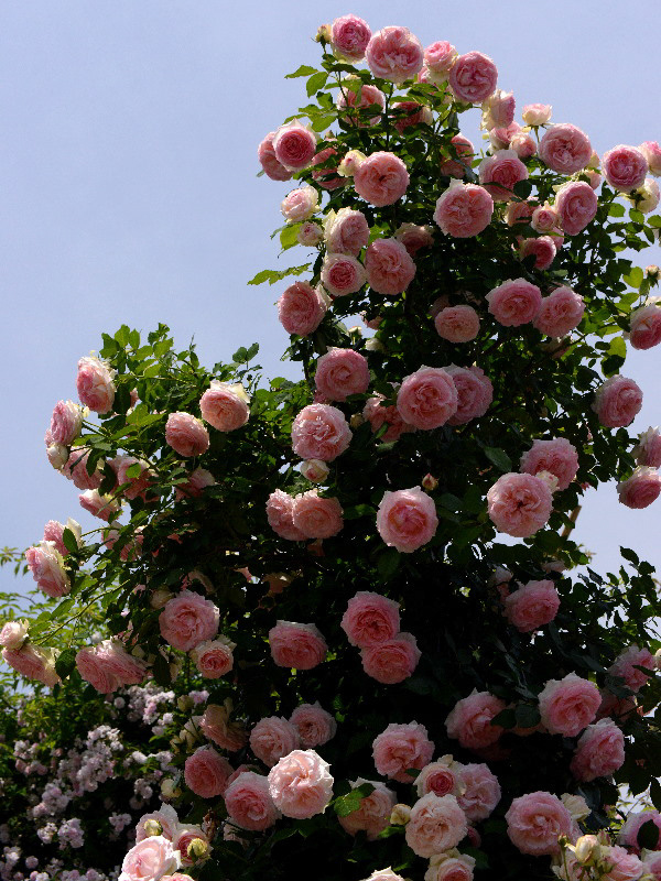 %_tempFileName81-20130609-0526%