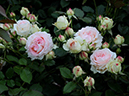 %_tempFileName36-20080607-0853%